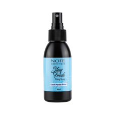 Note Stay Fixing Spray 100ml